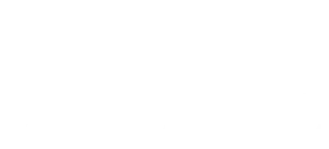 bwild logo grenouille