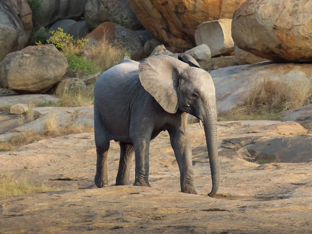Botswana