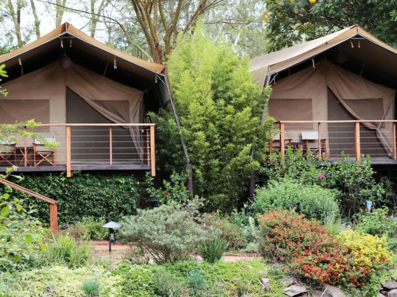 Tentes de lodge sous les arbres, départ Kenya sauvage